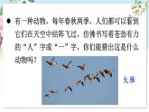 部編語文七年級(jí)上冊(cè) 第5單元 19 大雁歸來 PPT課件+教案