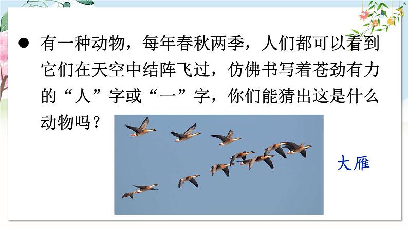 部编语文七年级上册 第5单元 19 大雁归来 PPT课件+教案02