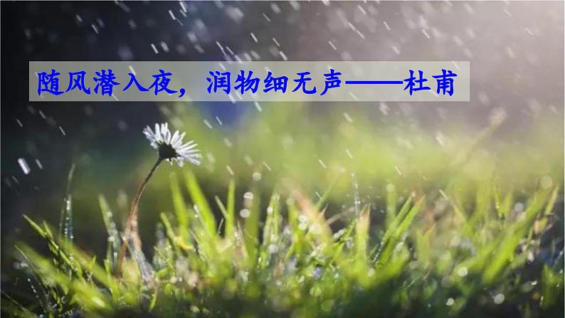 部编语文9年级上册 第1单元 6 我看 PPT课件+教案+习题01
