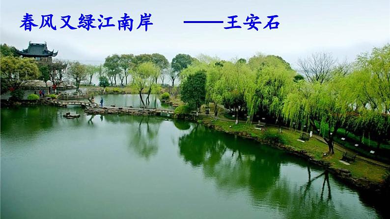 部编语文9年级上册 第1单元 6 我看 PPT课件+教案+习题02