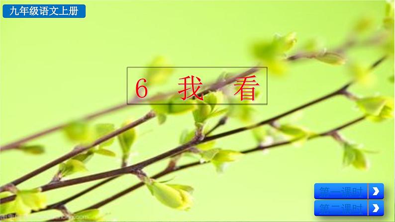 部编语文9年级上册 第1单元 6 我看 PPT课件+教案+习题04