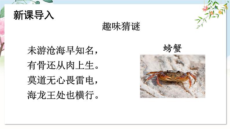 部编语文七年级上册 第五单元 任务二 亲近动物，丰富生命体验 PPT课件+教案02