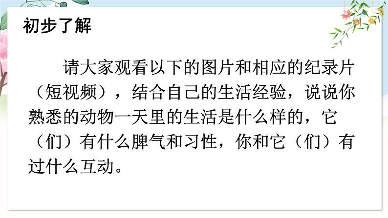 部编语文七年级上册 第五单元 任务二 亲近动物，丰富生命体验 PPT课件+教案05