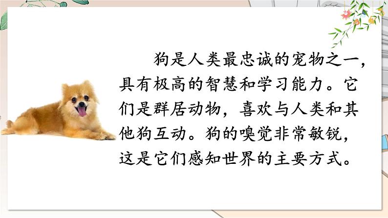 部编语文七年级上册 第五单元 任务三 记述与动物的相处 PPT课件+教案05