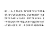 2024年统编版九年级语文上册精讲课件第3课《我爱这土地》