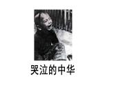 2024年统编版九年级语文上册精讲课件第3课《我爱这土地》