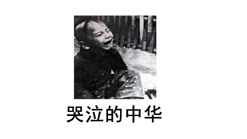 2024年统编版九年级语文上册精讲课件第3课《我爱这土地》第4页