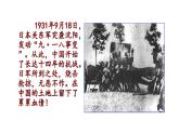 2024年统编版九年级语文上册精讲课件第3课《我爱这土地》