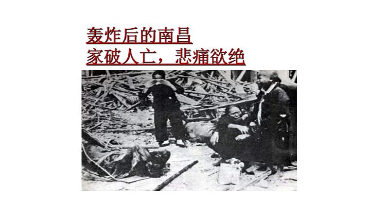 2024年统编版九年级语文上册精讲课件第3课《我爱这土地》第7页