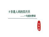 2024年统编版九年级语文上册精讲课件第5课《你是人间的四月天——一句爱的赞颂》