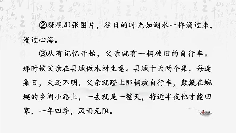 统编版（2024）七年级上册语文：第二单元 阅读综合实践 课件08