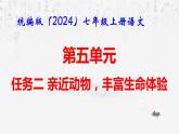 統(tǒng)編版（2024）七年級(jí)上冊(cè)語(yǔ)文：第五單元任務(wù)二 親近動(dòng)物，豐富生命體驗(yàn) 課件