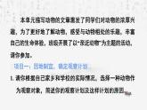 統(tǒng)編版（2024）七年級(jí)上冊(cè)語(yǔ)文：第五單元任務(wù)二 親近動(dòng)物，豐富生命體驗(yàn) 課件