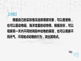 統(tǒng)編版（2024）七年級(jí)上冊(cè)語(yǔ)文：第五單元任務(wù)二 親近動(dòng)物，豐富生命體驗(yàn) 課件