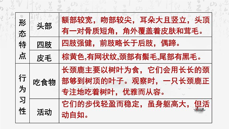 统编版（2024）七年级上册语文：第五单元任务二 亲近动物，丰富生命体验 课件06