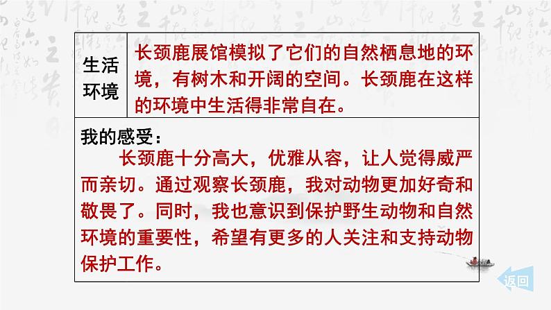 统编版（2024）七年级上册语文：第五单元任务二 亲近动物，丰富生命体验 课件08