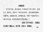 统编版（2024）七年级上册语文：第六单元 阅读综合实践 课件