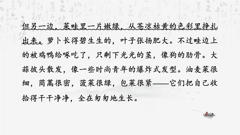 统编版（2024）七年级上册语文：第一单元 阅读综合实践 课件06