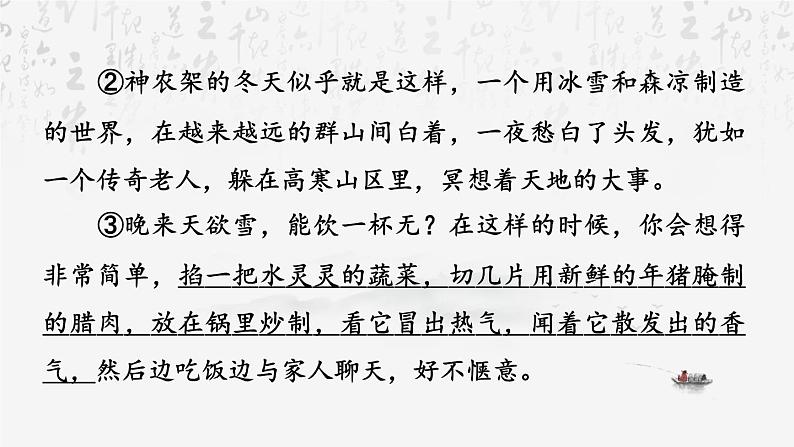 统编版（2024）七年级上册语文：第一单元 阅读综合实践 课件07