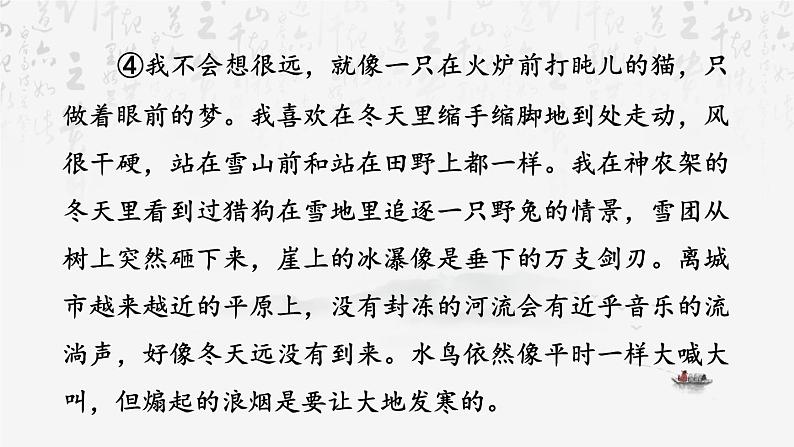 统编版（2024）七年级上册语文：第一单元 阅读综合实践 课件08