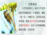 第21课《蝉》教学课件 2024—2025学年统编版语文八年级上册