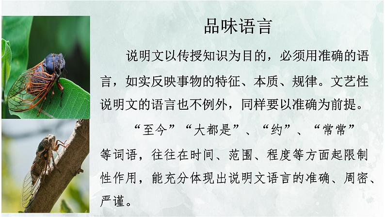 第21课《蝉》教学课件 2024—2025学年统编版语文八年级上册第5页