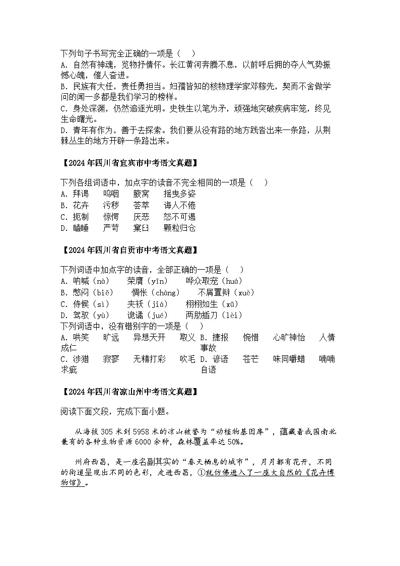 2022~2024年四川中考语文真题分类汇编  01 字音、字形03