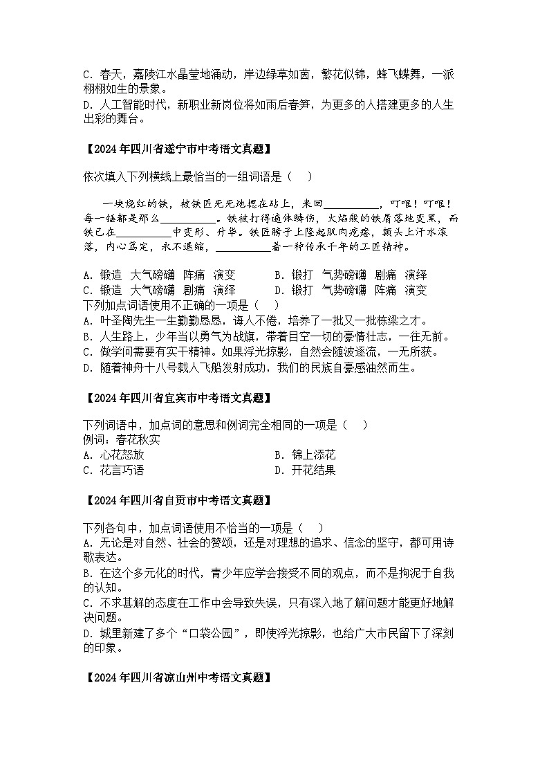 2022~2024年四川中考语文真题分类汇编  02 词语运用02