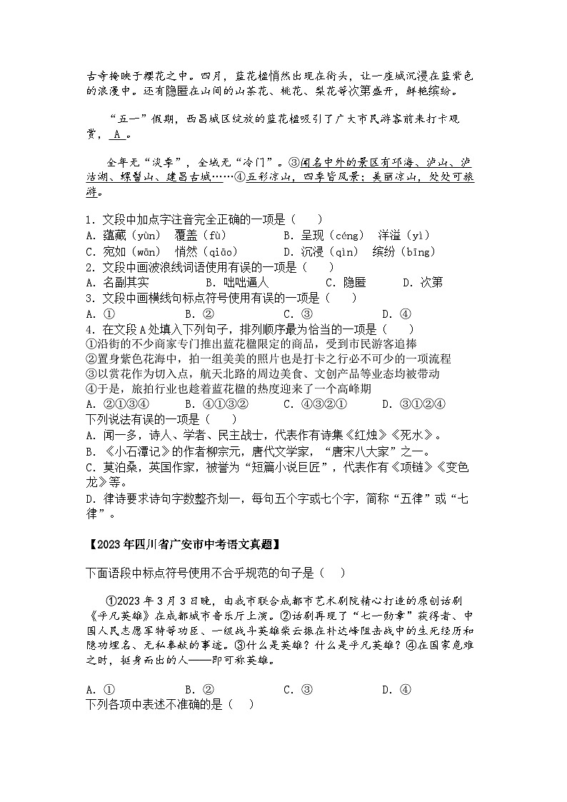 2022~2024年四川中考语文真题分类汇编  04 标点符号、语法、文学常识03