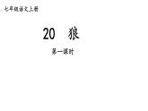 统编七语上 20 狼（精品课件）