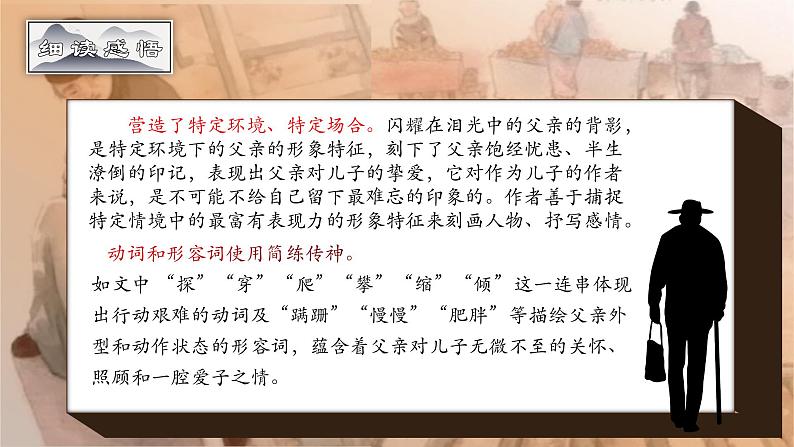 第14课《背影》课件 2024—2025学年统编版语文八年级上册第5页