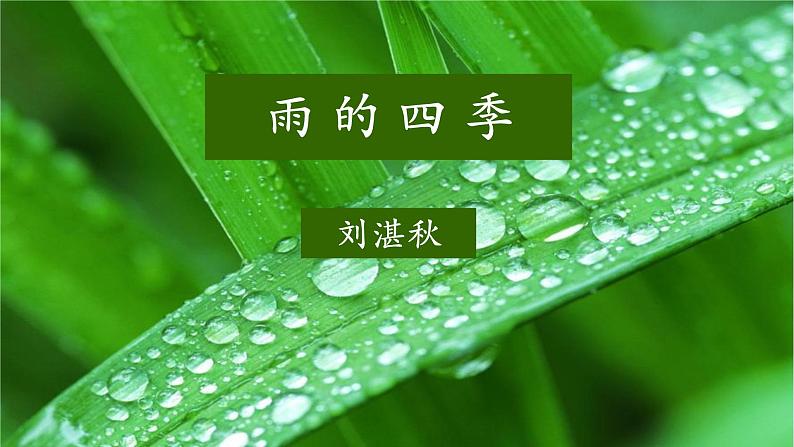 第3课《雨的四季》课件-2024-2025学年统编版语文七年级上册（2024）05