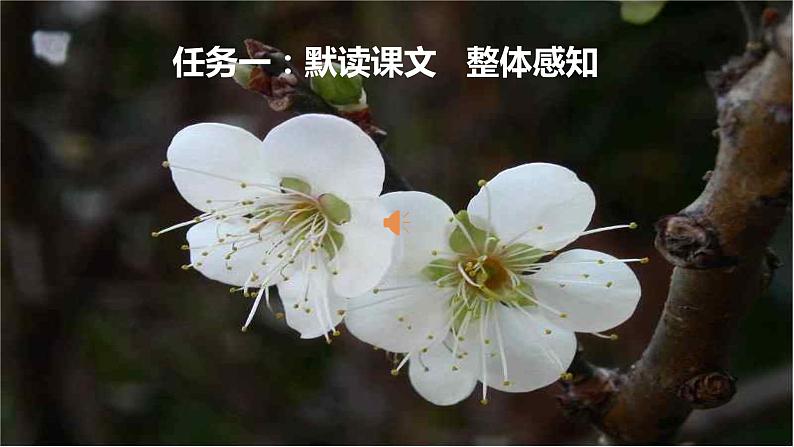 【任务型教学】新教材部编版初中语文七上第三单元11＊《再塑生命的人》 课件+教案+同步测试（含答案）+导学案（师生版）04