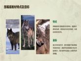 七年级语文上册第五单元《狼》课件