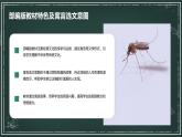 七年级语文上册第六单元寓言四则：《蚊子和狮子》课件