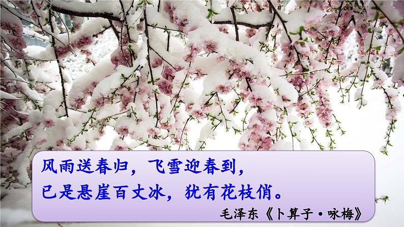 统编版 语文 九年级上册 第1单元1 沁园春·雪 PPT课件+教案+习题01