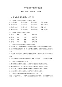 2024年春广西钦州市钦北区九年级语文下册期中考试卷（含答案）
