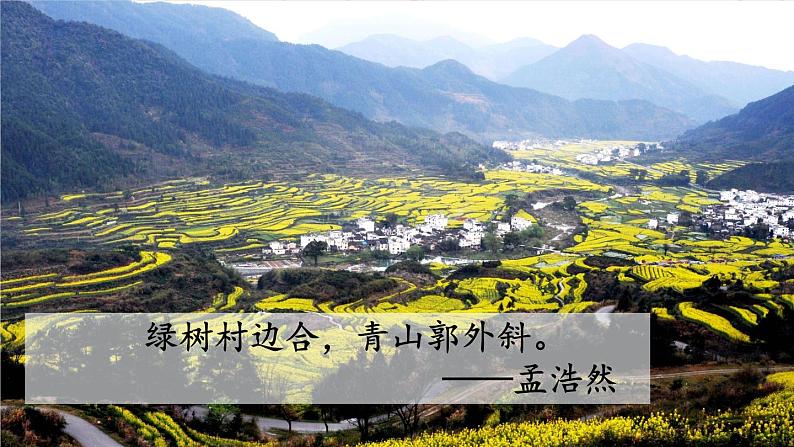 部编语文八年级上册 第3单元 12 短文二篇 PPT课件+教案05