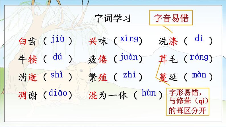 部编语文八年级上册 第4单元 17 散文二篇 PPT课件+教案05