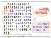 部编语文八年级上册 第4单元 写作 语言要连贯 PPT课件+教案