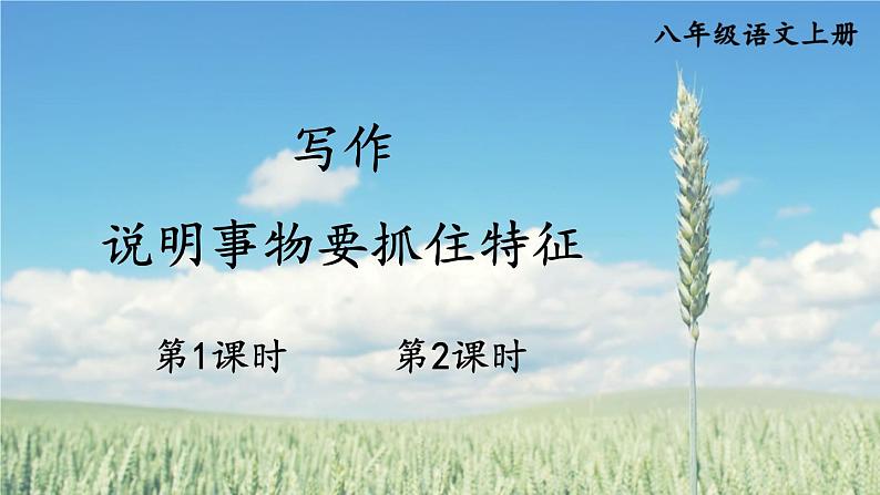 写作 说明事物要抓住特征第1页