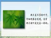 部编语文八年级上册 第5单元 写作 说明事物要抓住特征 PPT课件+教案