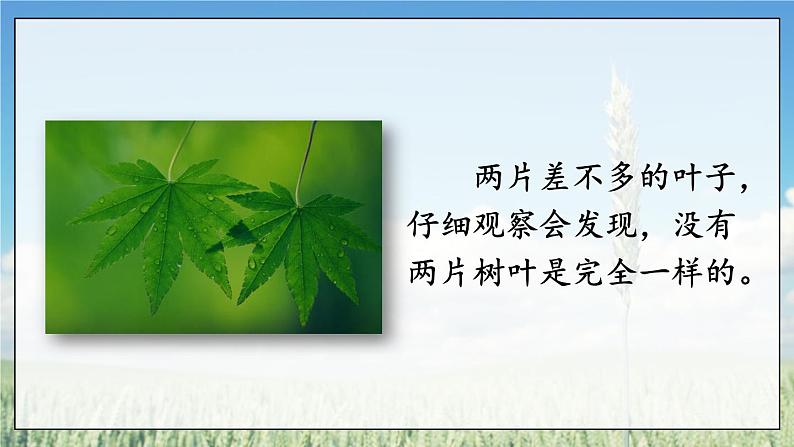 写作 说明事物要抓住特征第3页