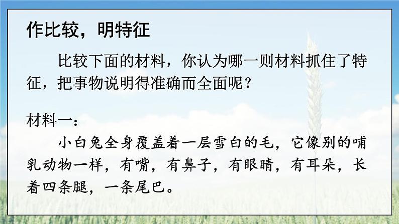 写作 说明事物要抓住特征第7页