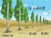 部编语文八年级上册 第4单元 16 白杨礼赞 PPT课件+教案