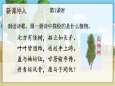 部编语文八年级上册 第4单元 16 白杨礼赞 PPT课件+教案