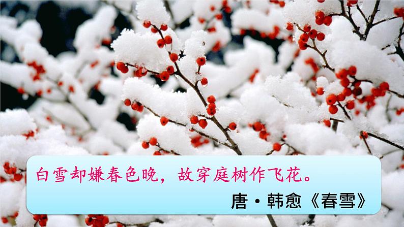 统编版九年级语文上册精品课件1 沁园春·雪第1页