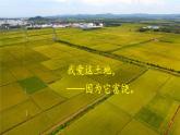 统编版九年级语文上册精品课件3 我爱这土地