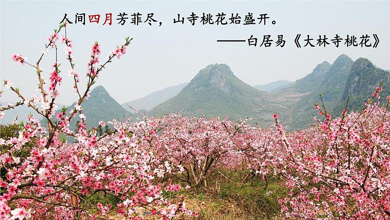 统编版九年级语文上册精品课件5 你是人间的四月天——一句爱的赞颂第1页