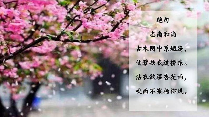 1.2 第1课《春》遵路绘图寻美景（教学课件）-【大单元教学】2023-2024学年七年级语文上册同步备课系列（统编版）第8页